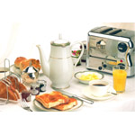 Esprit 2 wid slot bread toaster with bun mode polished case